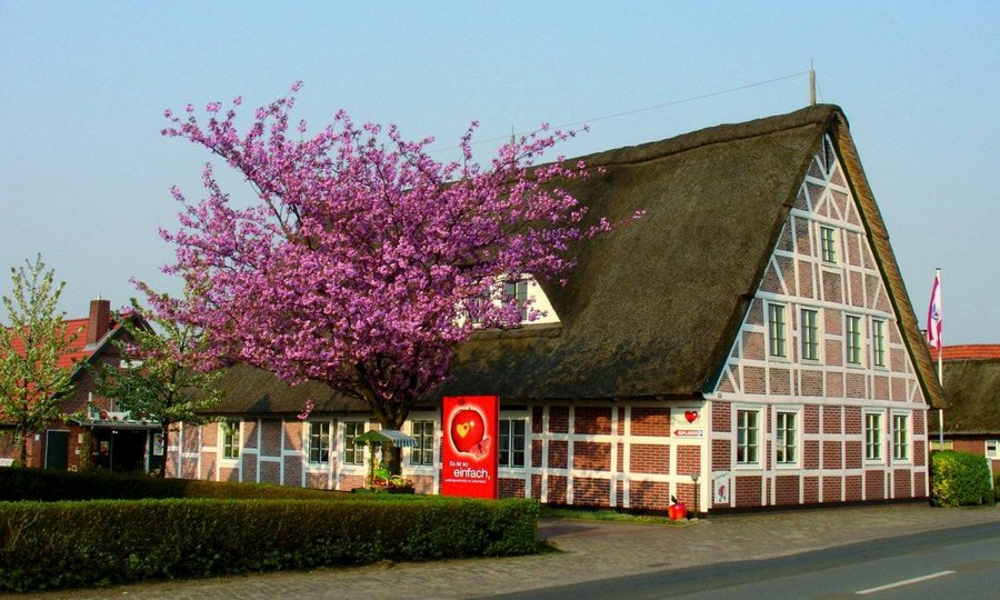 Altes Land Herzapfelhof