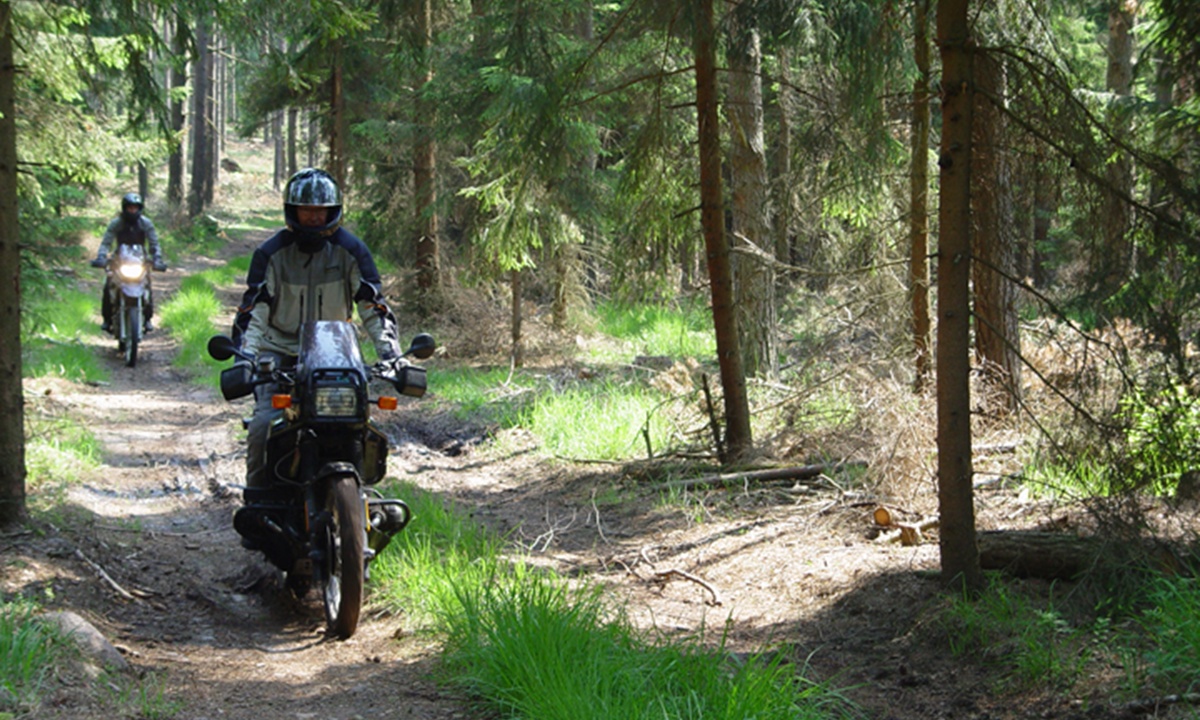 zwei Motorraeder fahren einen Weg durch einen dichten Nadelwald bei unserer "Altmark Enduro Tour"