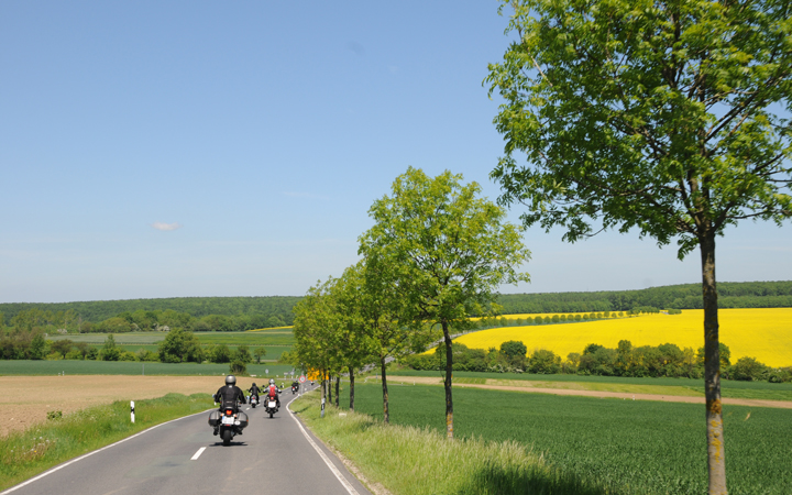 Motorraeder auf einer durch gelbe Rapsfelder fuehrenden Landstrasse bei unserer "Flaseming"-Motorradtour