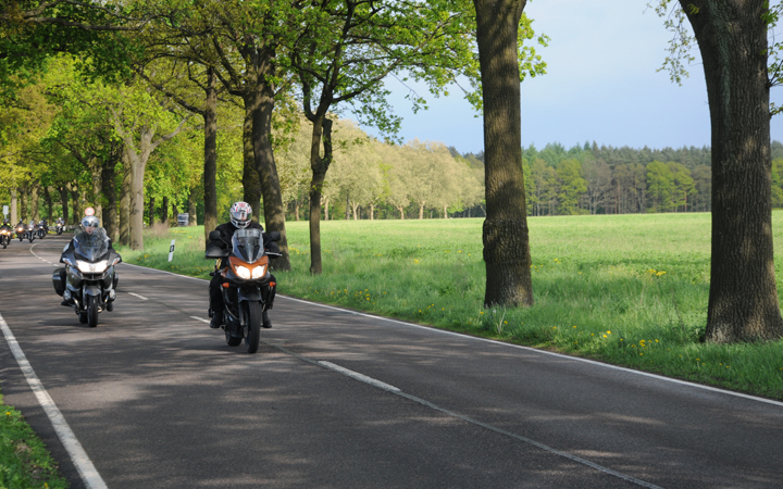 Motorraeder auf einer schoenen ueber Felder fuehrenden Alleestrasse bei unserer "Flaeming"-Motorradtour