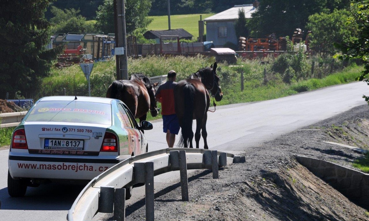 ein Mann laeuft mit zwei Pferden auf der Strasse, dahinter faehrt ein mit Werbung beklebtes Auto
