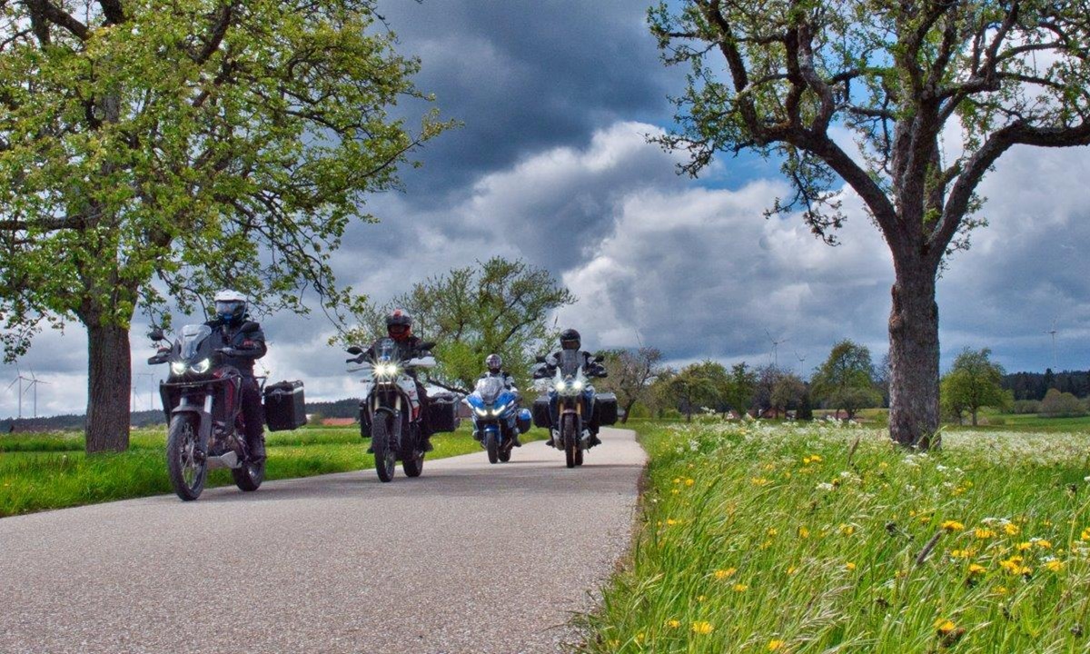 vier Motorraeder fahren eine schmale Teerstrasse ueber bluehende Wiesen entlang; rechts im Bild steht ein Baum