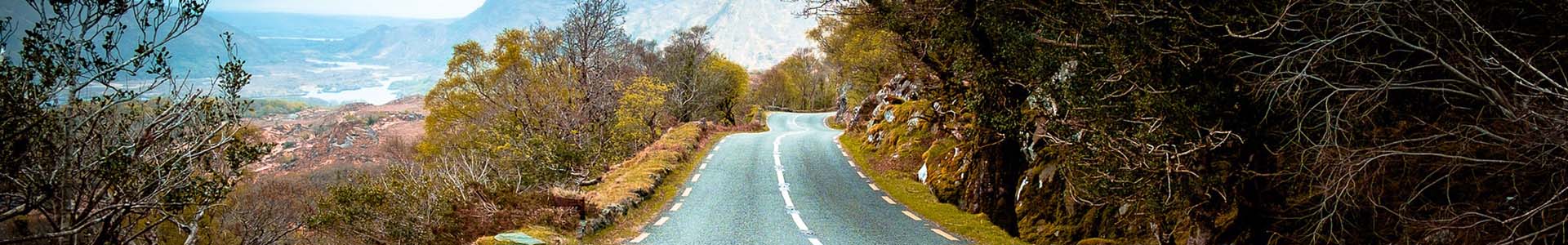 Schmale zweispurige Teerstrasse mit viel Moos am Strassenrand in einer bergigen Region 