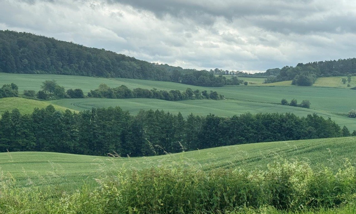 huegelige gruene Feldlandschaft mit bewaldeten Flaechen dazwischen
