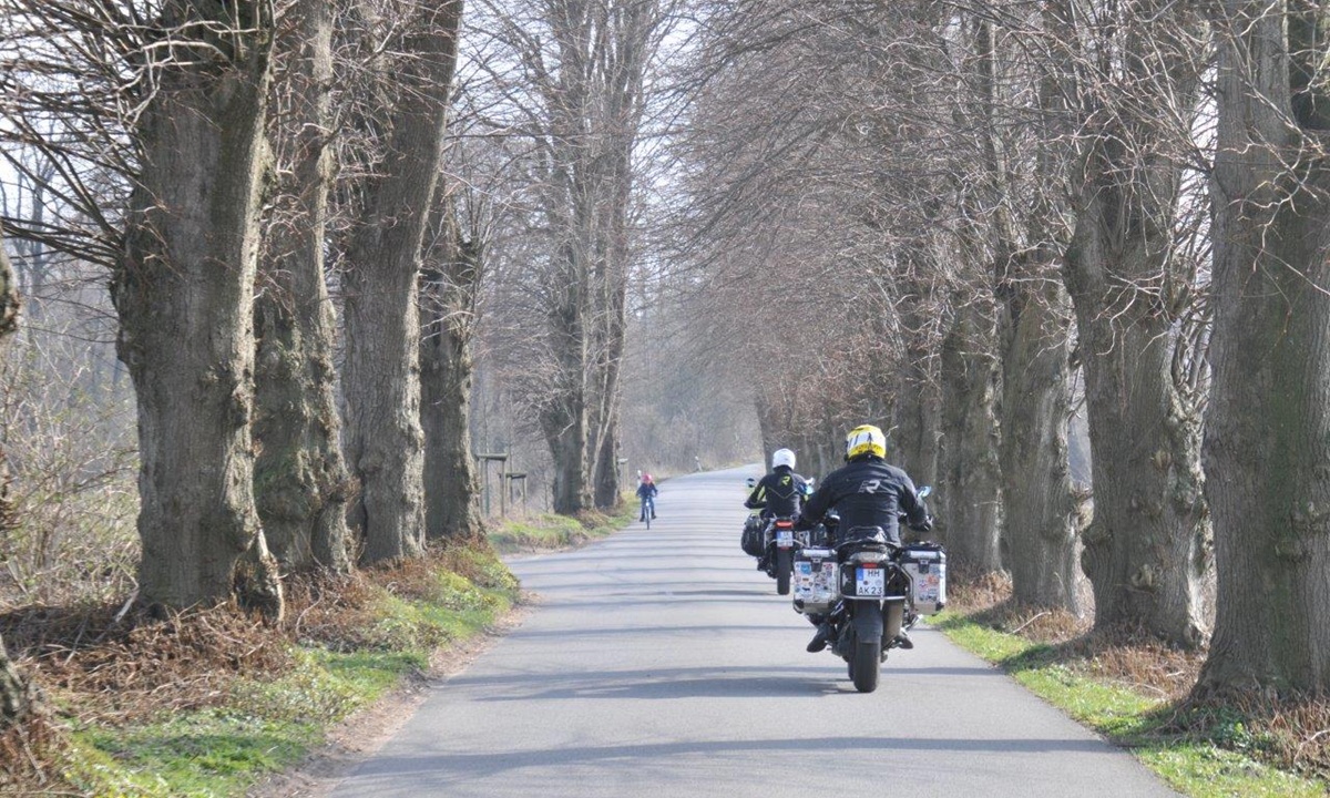 Zwei Motorradfahrer fahren auf einer Allee-Strasse zwischen zwei Reihen alter Baeume entlang