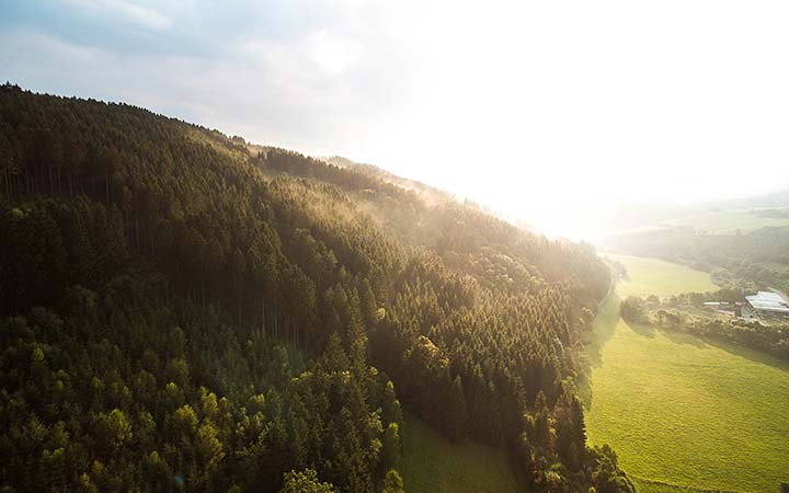 Drohenenaufnahme einer huegeligen Nadelwaldlandschaft mit gruenen Wiesen dazwischen im Sonnenschein