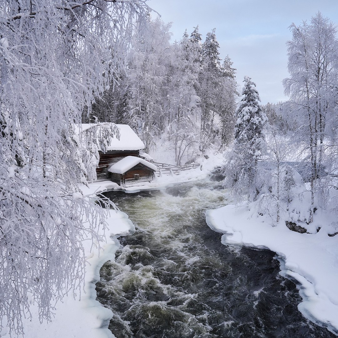 Eine kleine Holzhuette steht an einem Fluss in der verschneiten Winterlandschaft Lapplands