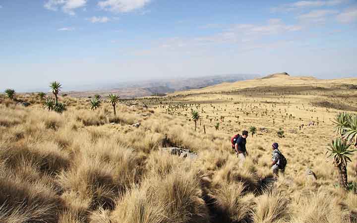 zwei Maenner erkunden eine Steppenlandschaft in Eathopien 